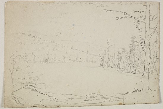 Lake of Dead Trees, Catskill from Thomas Cole