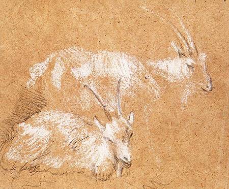 Study of Goats from Thomas Gainsborough