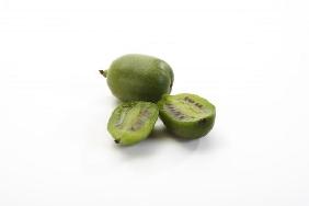 Mini Kiwi2