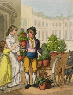 Cries of London: The Garden Pot Seller, 1799 (colour aquatint)