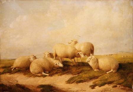 Sheep from Thomas Sidney Cooper