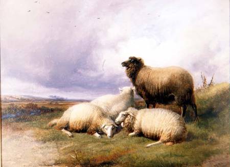 Sheep in a Landscape from Thomas Sidney Cooper