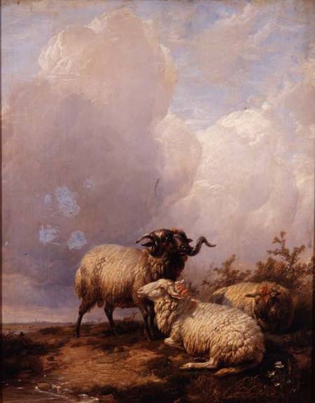 Sheep in Landscape from Thomas Sidney Cooper