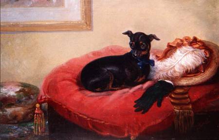 Her Favourite Pet: a Manchester Terrier on a red cushion from Thomas Smythe