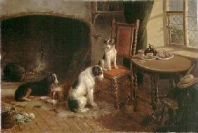 Interior with Dogs