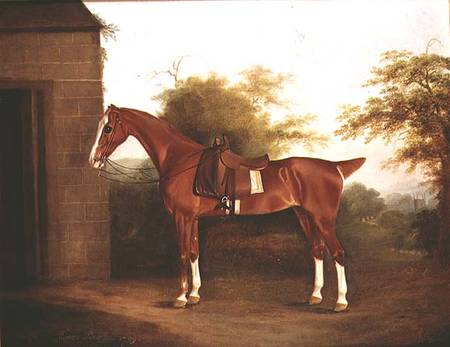 Horse with side saddle from Thomas Weaver