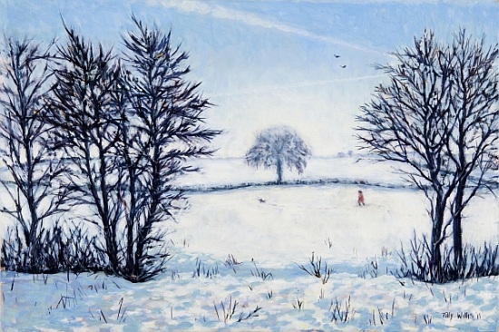 A Winters Walk from Tilly  Willis