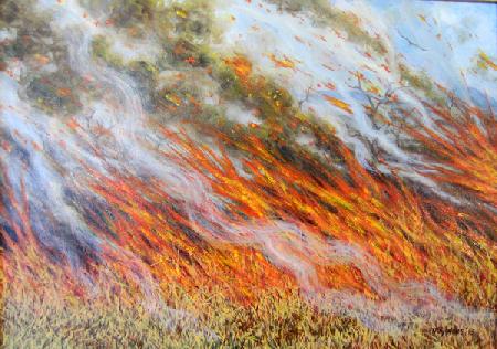 Bushfire Inferno