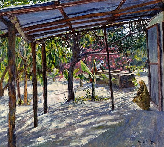 Morning Shadows, 2004 (oil on canvas)  from Tilly  Willis