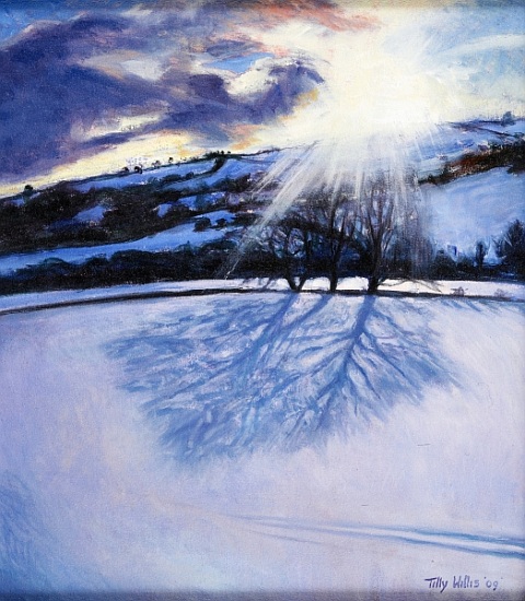 Snow Shadows from Tilly  Willis