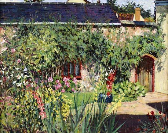 Summer Garden from Tilly  Willis