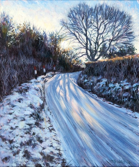 Winter Light from Tilly  Willis