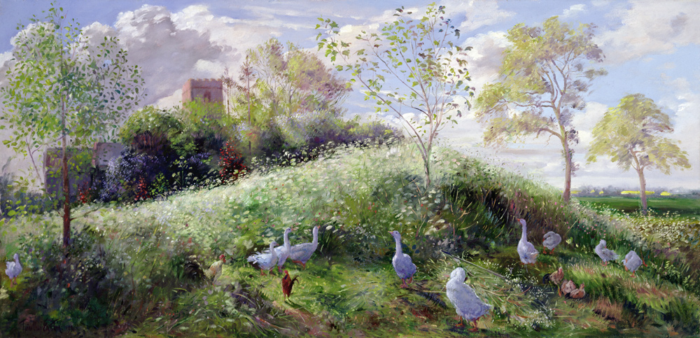 Mount in May  from Timothy  Easton