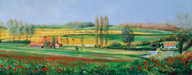 Poppy Field and Poplars  from Timothy  Easton