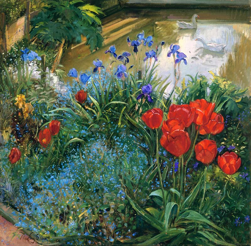 Red Tulips and Geese (oil on canvas)  from Timothy  Easton