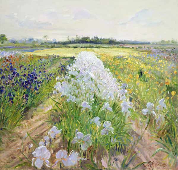 Down the Line, 1995 (oil on canvas)  from Timothy  Easton