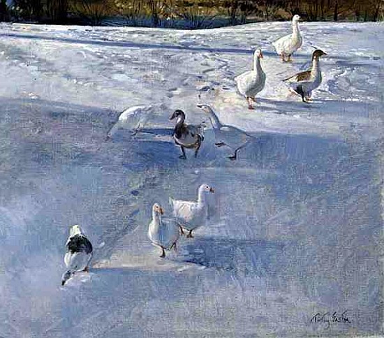 Down the Slope (oil on canvas)  from Timothy  Easton