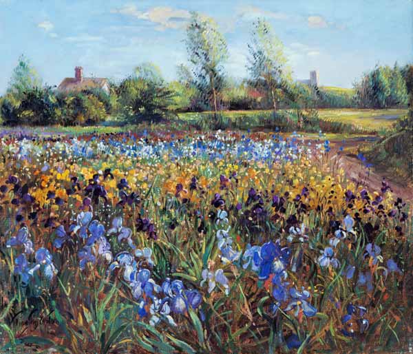 Irises and Burgate Green (oil on canvas)  from Timothy  Easton