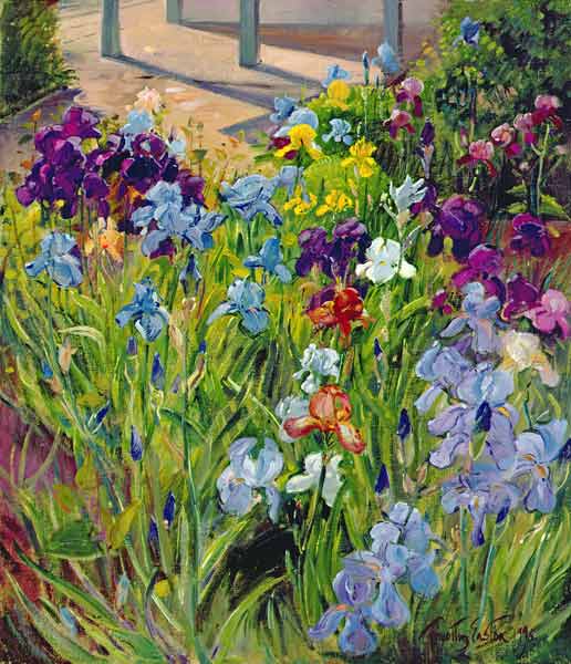 Irises and Summer House Shadows, 1996 (oil on canvas)  from Timothy  Easton