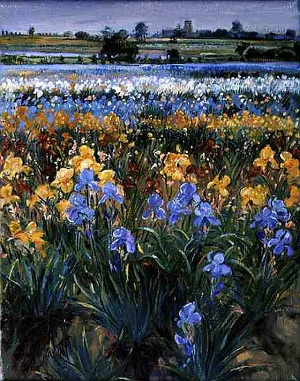 Irises and Burgate Church, 1996 (oil on canvas)  from Timothy  Easton