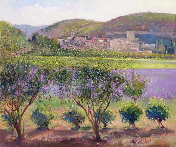 Lavender Seen Through Quince Trees, Monclus (oil on canvas)  from Timothy  Easton