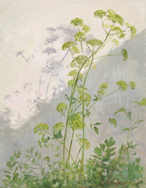 Lovage Against Diagonal Shadows, 1999 (oil on canvas)  from Timothy  Easton