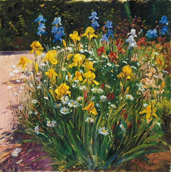 Oxeye Daisies Against the Irises (oil on canvas)  from Timothy  Easton