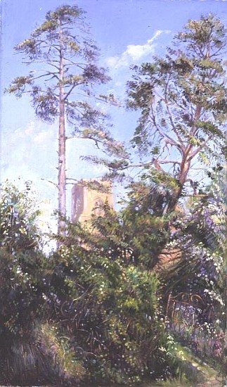Pine Tree and Tower from Timothy  Easton