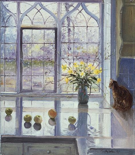 Rain Watching  from Timothy  Easton