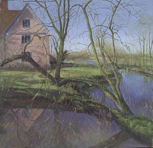 Sprouting Willow Tree from Timothy  Easton