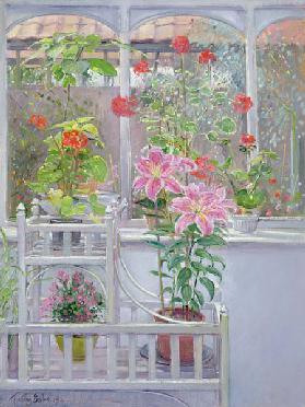 Through the Conservatory Window, 1992 (oil on canvas) 