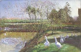 Willow and Geese, 1991 