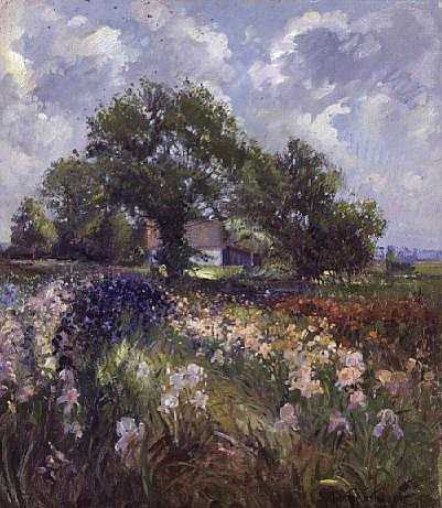 White Barn and Iris Field  from Timothy  Easton