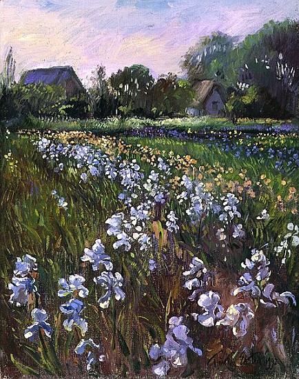 White Irises and Farmstead, 1992  from Timothy  Easton