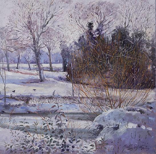 Young Willow against the Snow from Timothy  Easton