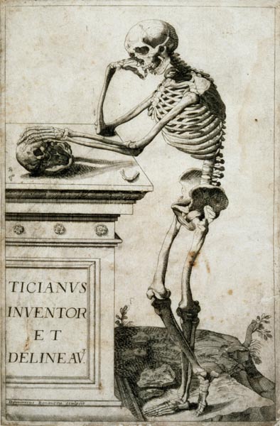 Anatomical study from Tizian (aka Tiziano Vercellio)