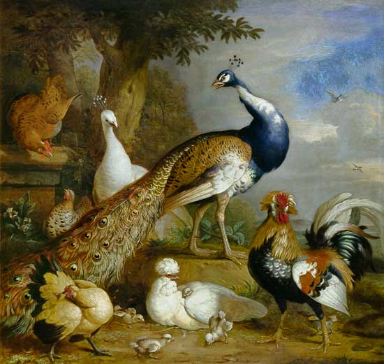 Peacock, Peahen and Poultry in a Landscape from Tobias Stranover