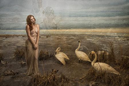 Leda in Search of the Swan