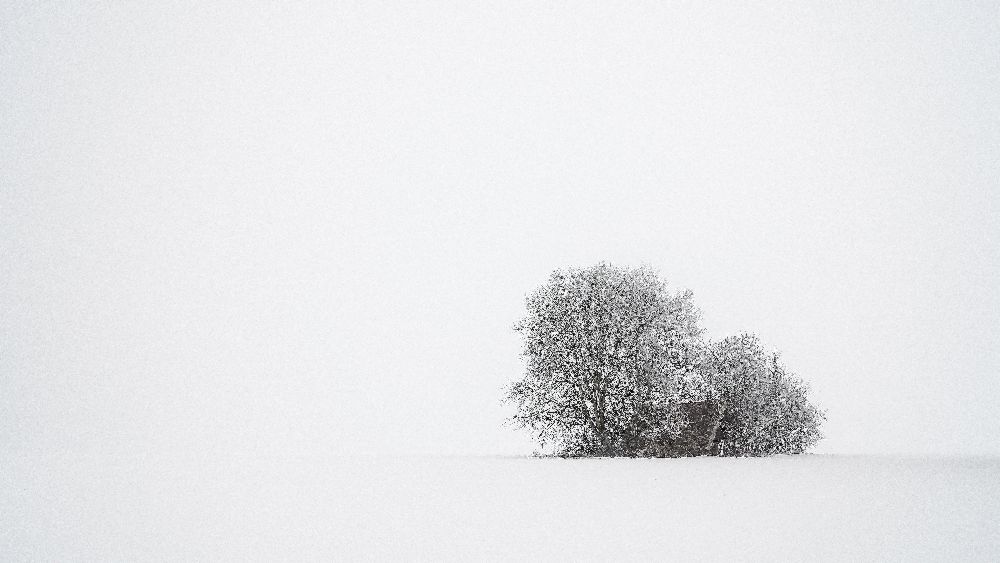 Winter silence from Tom Meier