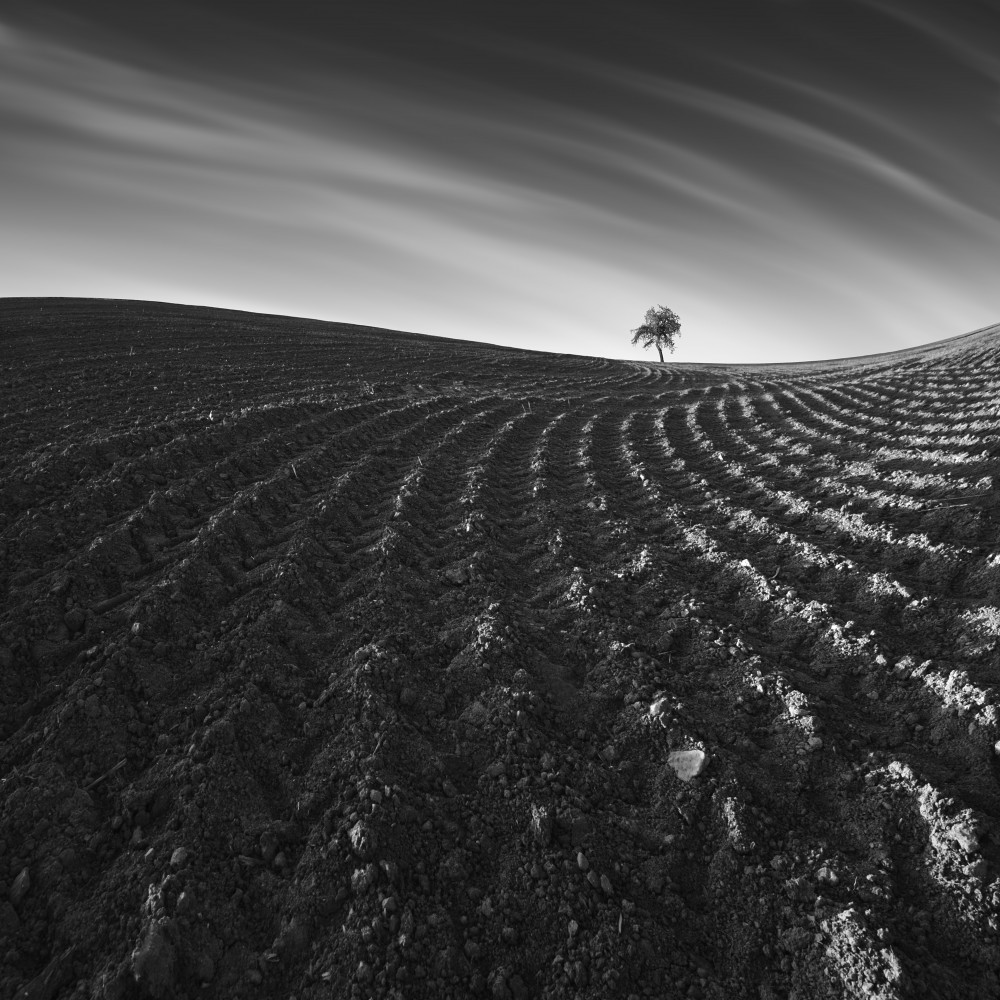 Field lines from Tomas Tison