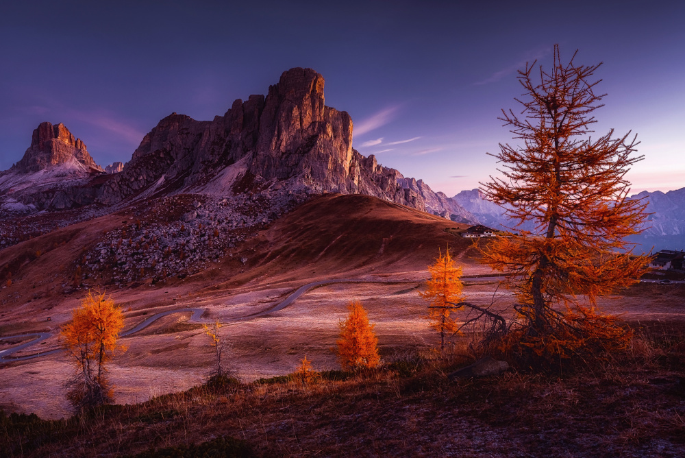 Frozen morning in Dolomites from TomaszOryszczakPhotography