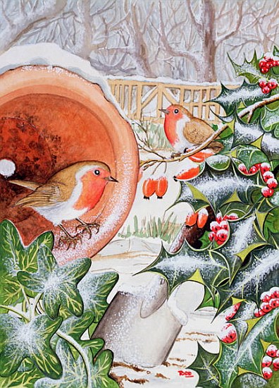 Christmas Robins (w/c)  from Tony  Todd
