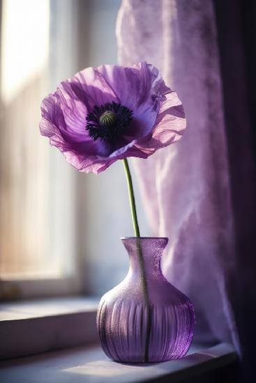 Purple Poppy In Vase