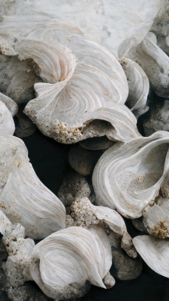 Sea Shells Detail No 2 from Treechild