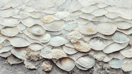 Sea Shells Detail No 7