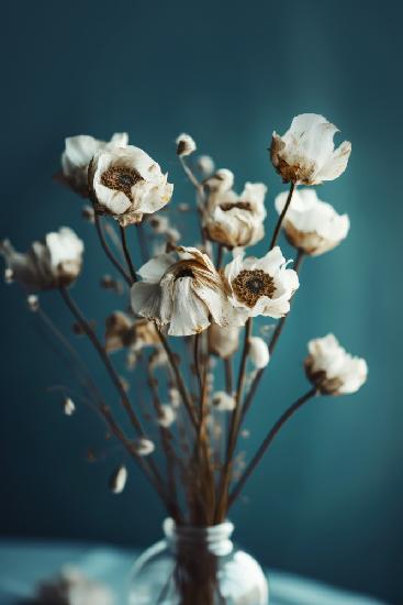 White Flowers On Turquoise Background