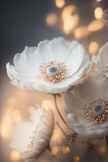 White And Golden Flowers
