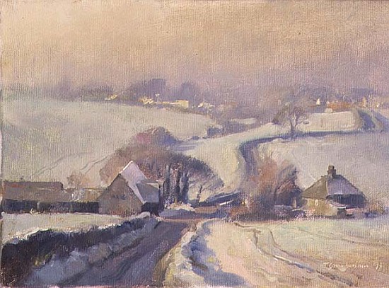 Frosty fields, Aston, 1991  from Trevor  Chamberlain