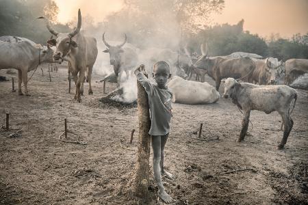 Young Mundari with his cattle