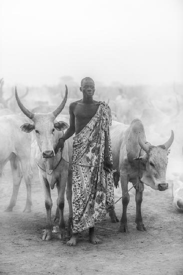 Mundari cattle herder